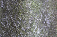 Knightwick fibreglass roof work